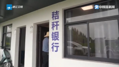 中国蓝察看丨“秸”尽所能变废为宝 浙江