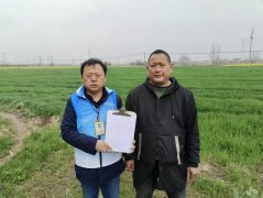 安徽省农业安全为高程度扶植江淮粮仓
