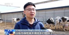 “牛脸识别”帮力农业安全 财产成长无效