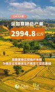 <b>实现稳产丰收！全国夏粮总产量149738万吨</b>